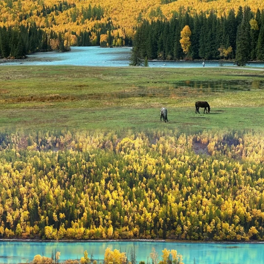 喀纳斯德荣酒店住宿+喀纳斯景区门票成人门票 - 定制游预订