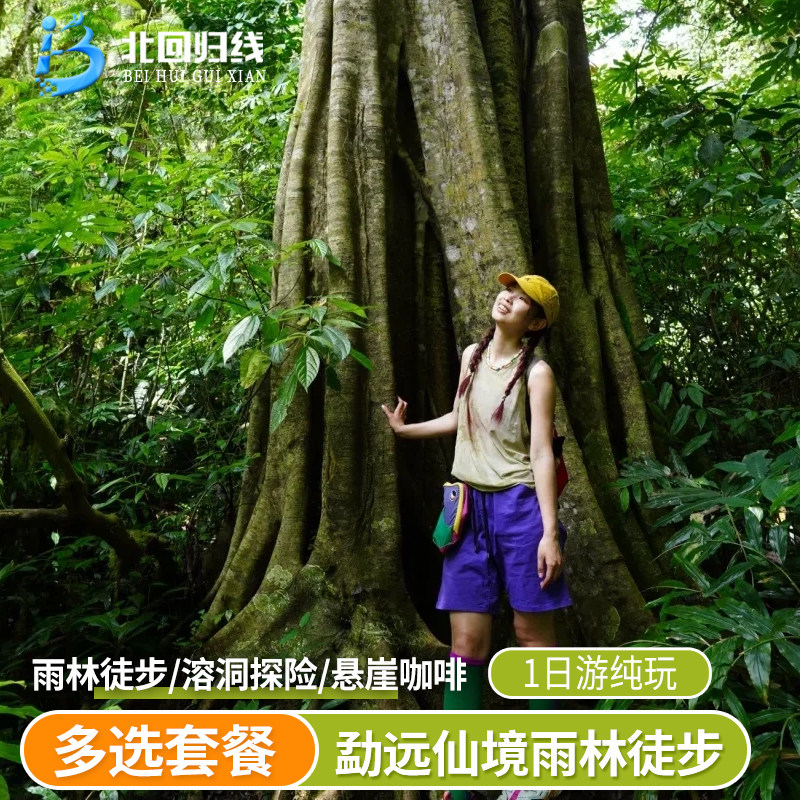 西双版纳 勐远仙境雨林徒步-溶洞探险-明星同款-悬崖咖啡-基诺山 - 定制游预订