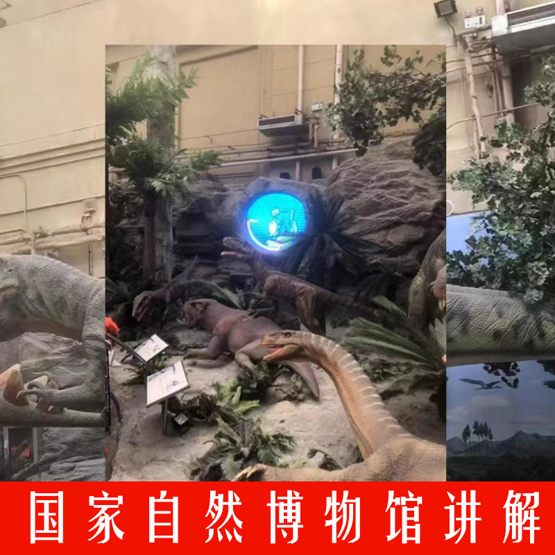 【北京国家自然博物馆【含票】亲子讲解】精品团/可订明日 - 定制游预订