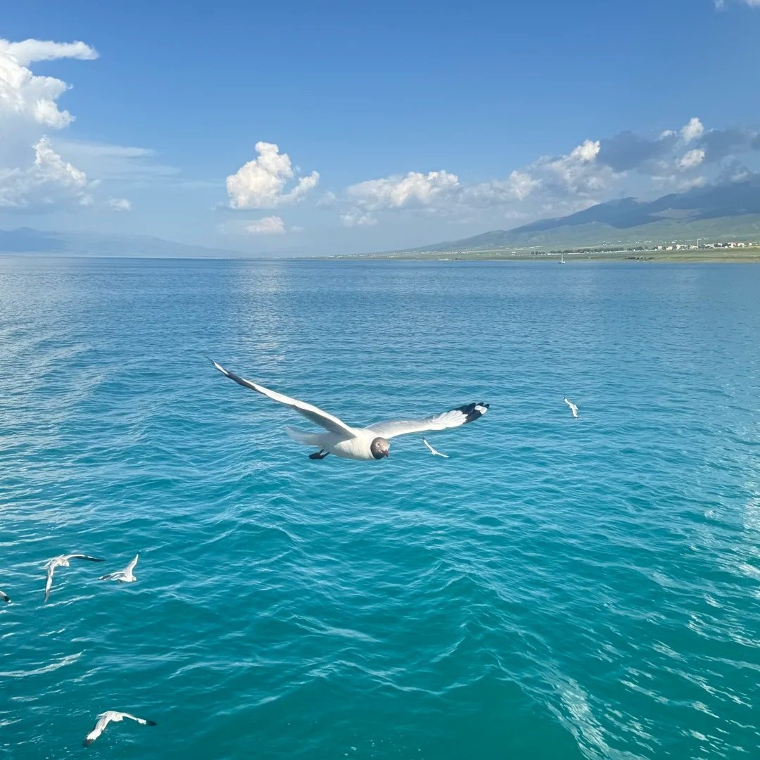 青海湖蓝色港湾酒店住宿+青海湖二郎剑景区成人门票