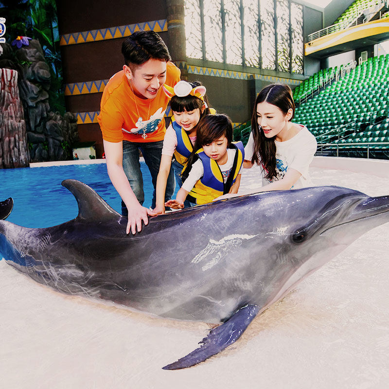 【周年庆】珠海长隆企鹅酒店2天1晚无限畅玩海洋王国/飞船乐园可选长隆秀套票