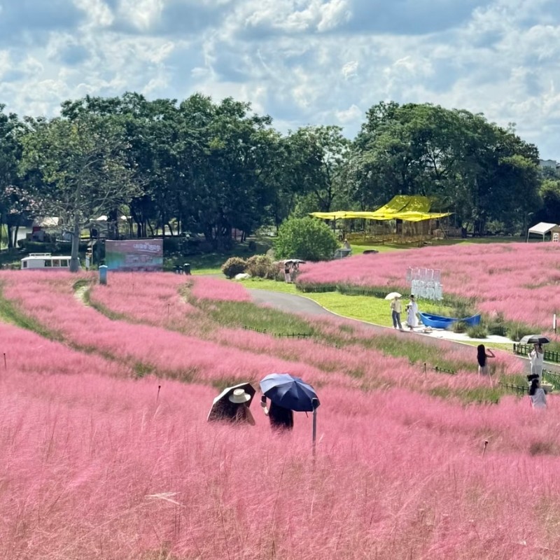 【乐享】南宁曼尔顿国际酒店湖景套房两天一晚+南宁园博园 - 定制游预订