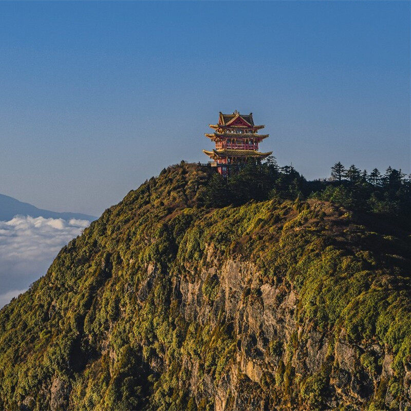 四川5天4晚跟团游成都峨眉山乐山都江堰 青城山/熊猫基地/三星推 - 定制游预订
