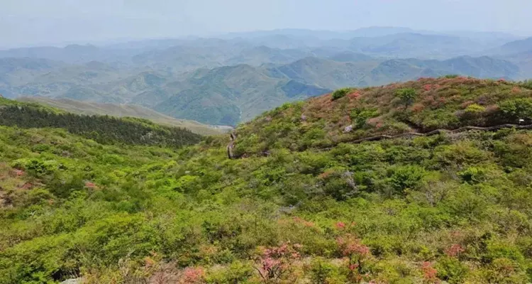 平天堂古道图片