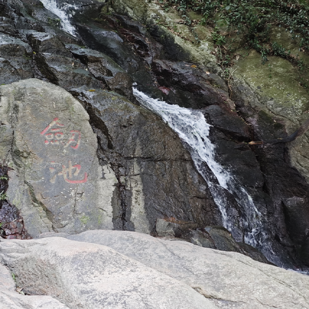 【休闲度假】杭州+莫干山4天3晚私家团 - 定制游预订