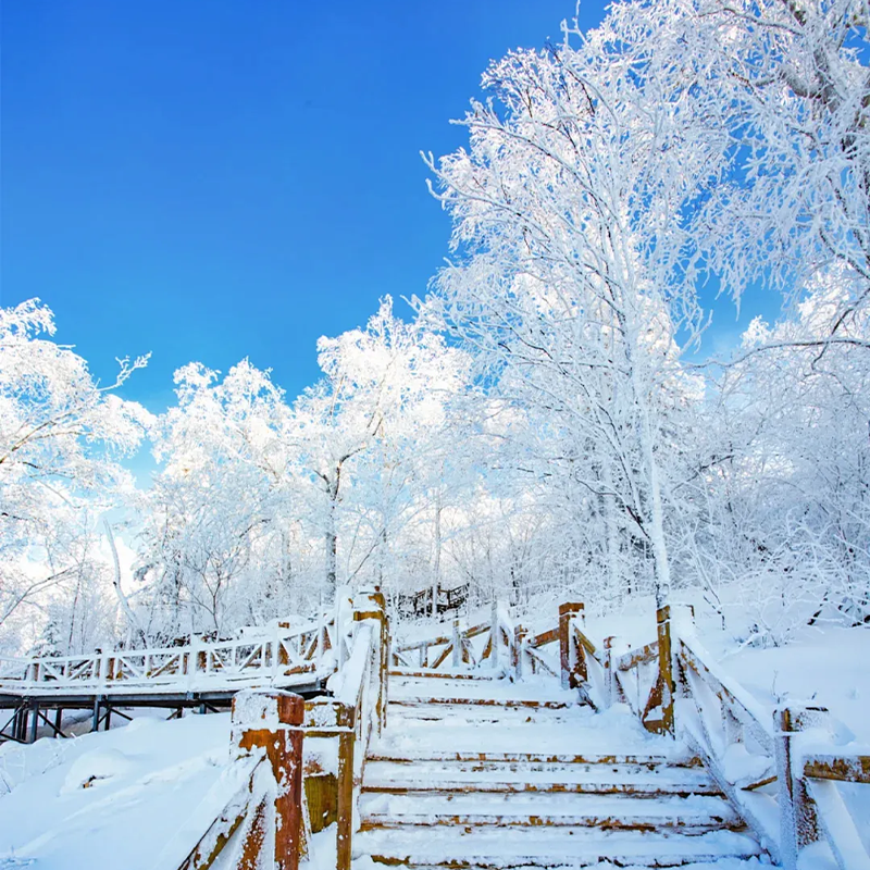 8人拼小团 东北吉林雾凇雪乡长白山魔界漂流长春冰雪新天地6天5晚