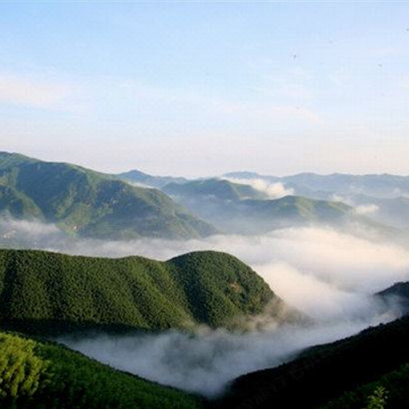 【周末不加价】浙江莫干山庄 早餐+莫干山门票+数字运动体验中心+登山杖+奶茶+小食