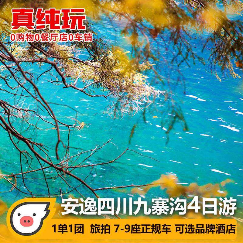 2-8人私家团九寨沟旅游四日游熊猫基地三星堆都江堰4天3晚跟团游 - 定制游预订