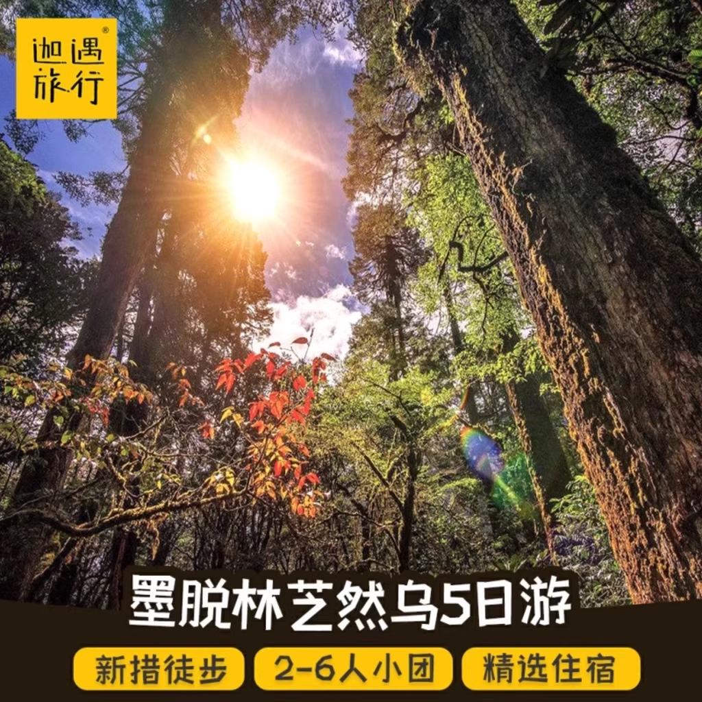 【桃花节】西藏墨脱旅游纯玩2-8人越野林芝派墨公路然乌湖鲁朗5日 - 定制游预订