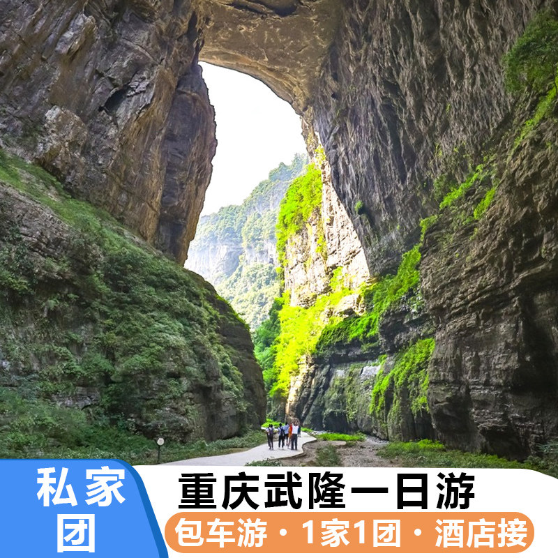 私家团 重庆武隆一日游纯玩 天坑地缝仙女山跟团旅游天生三桥包车 - 定制游预订