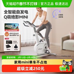 Merrick Dynamic Exercise Bike Self-Generating Power Home-Use Fitness Bike Indoor Fitness Equipment Silent Mini