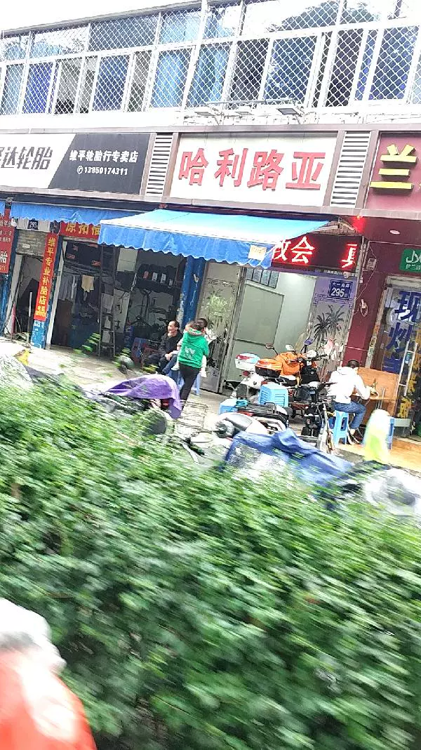 哈利路亚图片