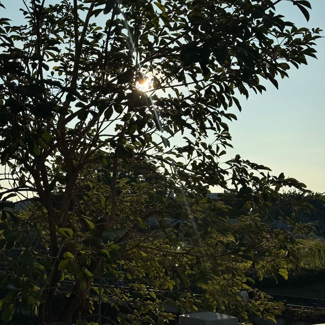 阿勒泰云雪国际度假酒店住宿+可可托海景区成人票 - 定制游预订