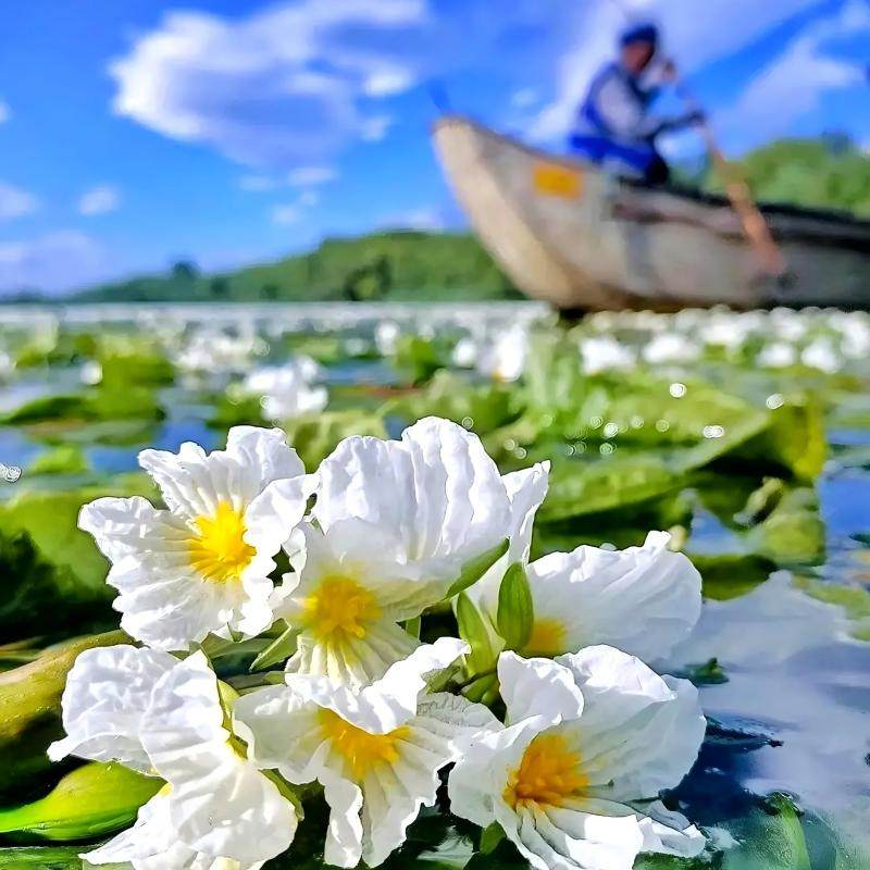 2-8人纯玩品质小团+旅拍体验丽江泸沽湖玉龙雪山5天4晚跟团游 - 定制游预订