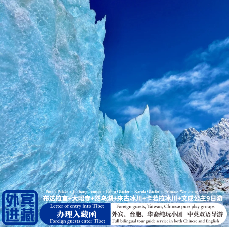 【外宾进藏】西藏旅游拉薩林芝布達拉宮然烏湖來古冰川魯朗9日游 - 定制游预订