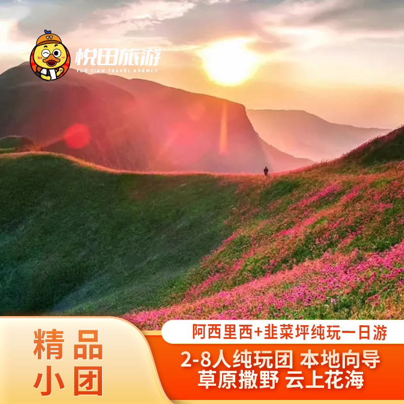 六盘水或毕节发阿西里西+韭菜坪纯玩一日游2-6人团波浪路 - 定制游预订