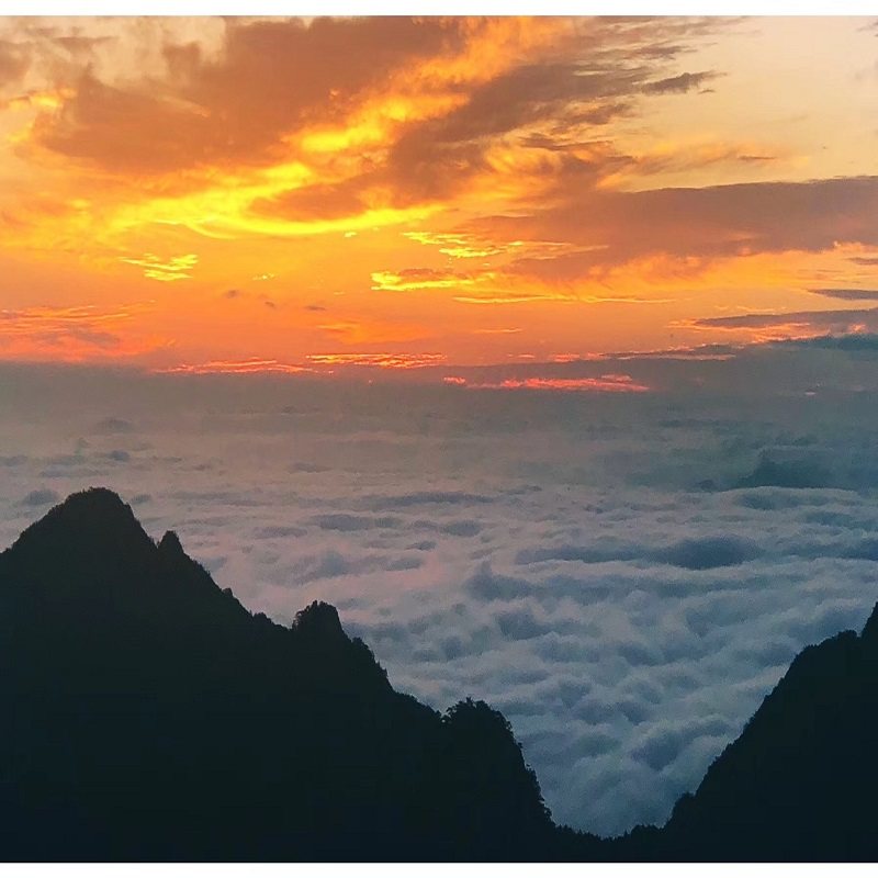 纯玩【苏州进黄山出】乌镇+杭州西湖+千岛湖+黄山+宏村+西递5日游