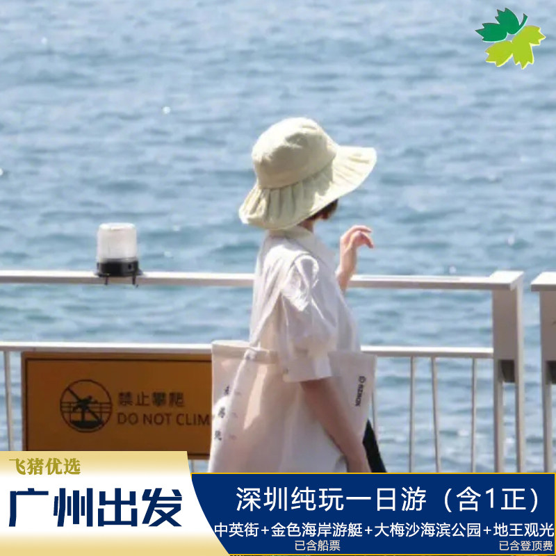 元旦爆款【深圳 经典游玩1日】游船-金色海岸+大梅沙+地王观光 - 定制游预订