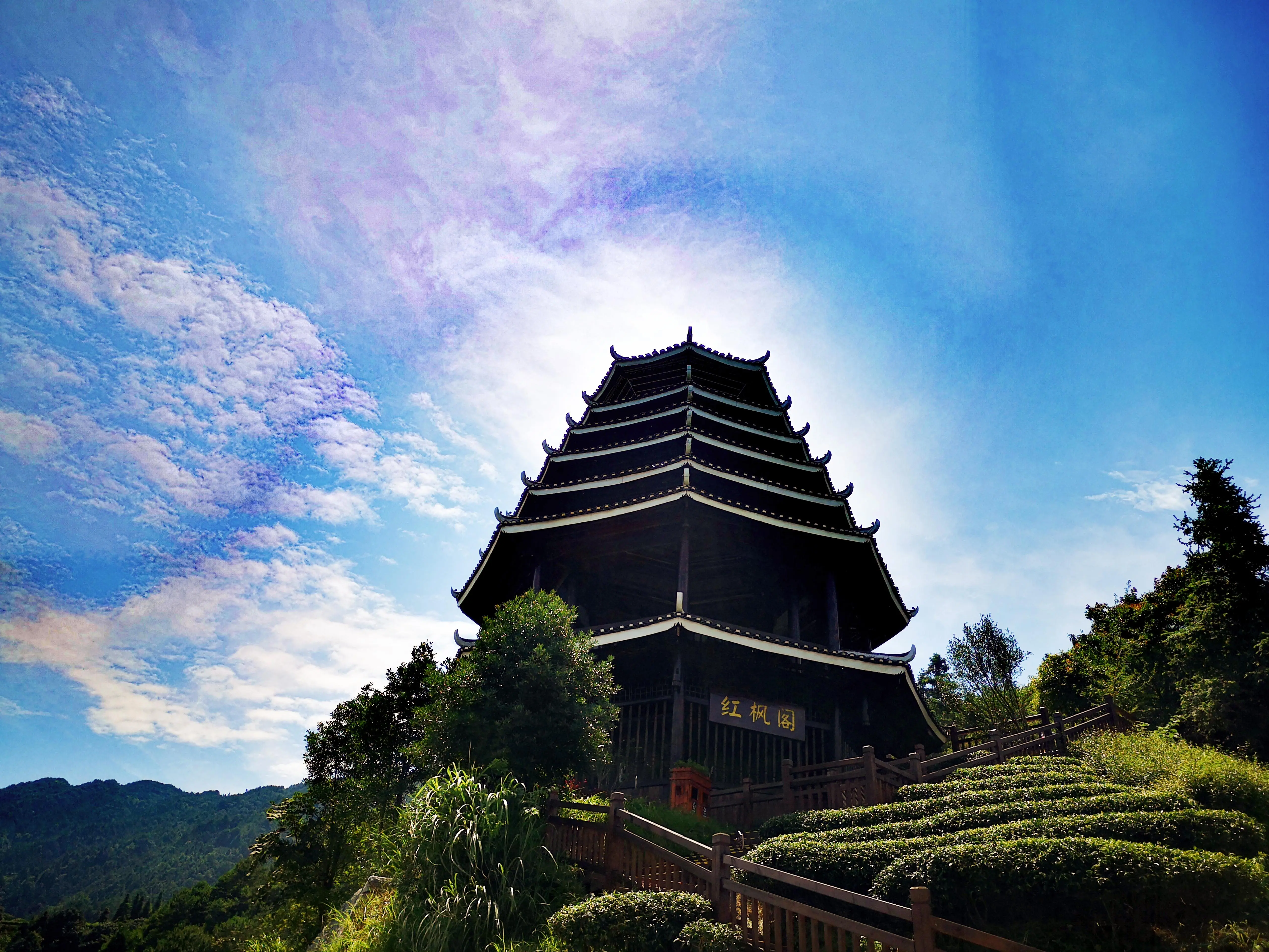 布央茶山旅游区图片