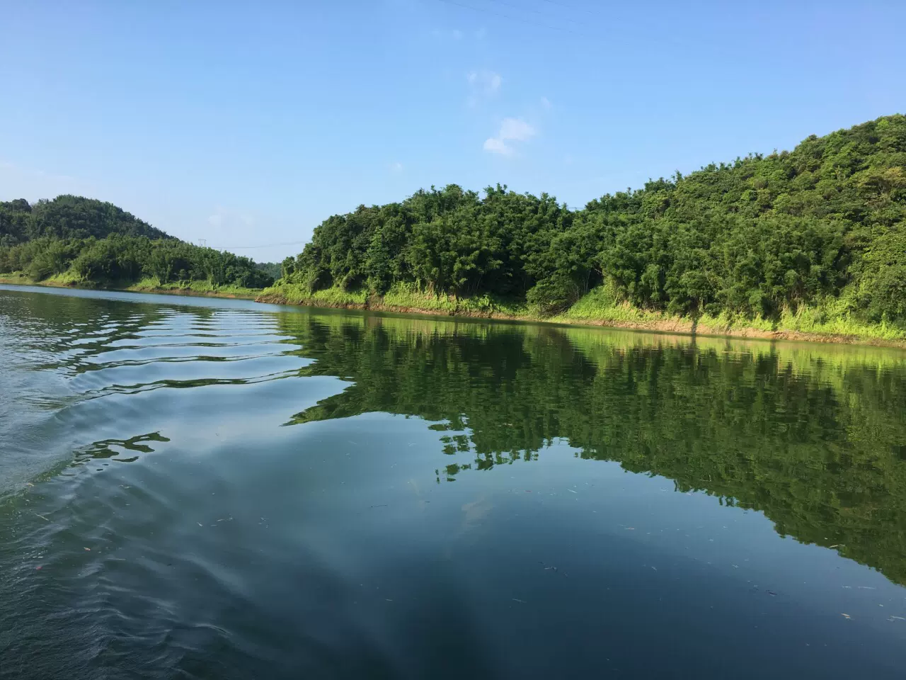 花滩森林公园图片