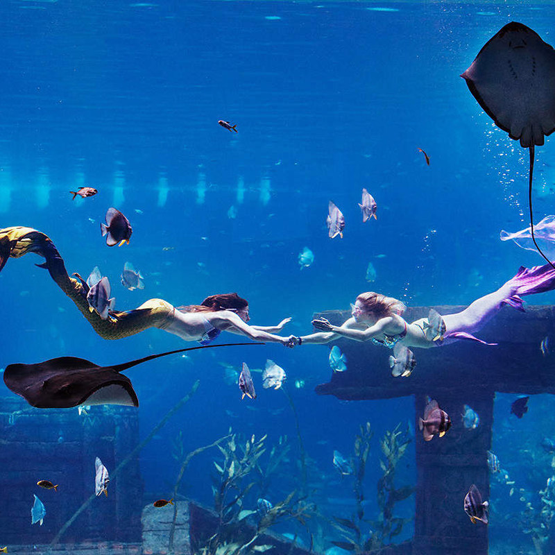 【乐享】重庆融创文旅城舒适品牌连锁酒店高级房2天1晚+双人融创海世界