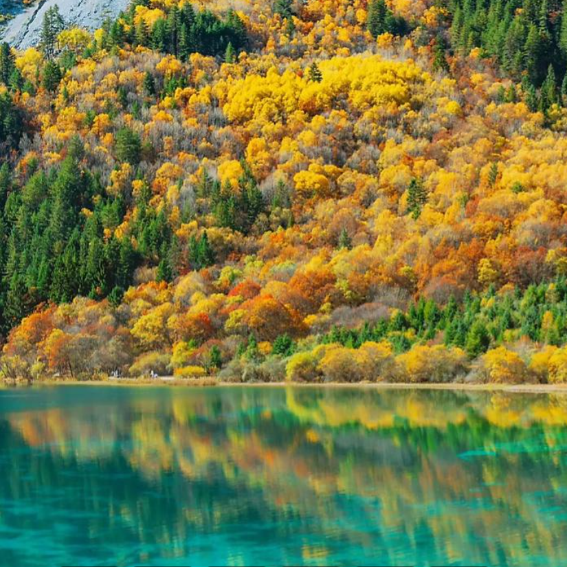 四川九寨沟黄龙三日游 成都+九寨沟+黄龙风景区3日2晚跟团游 - 定制游预订