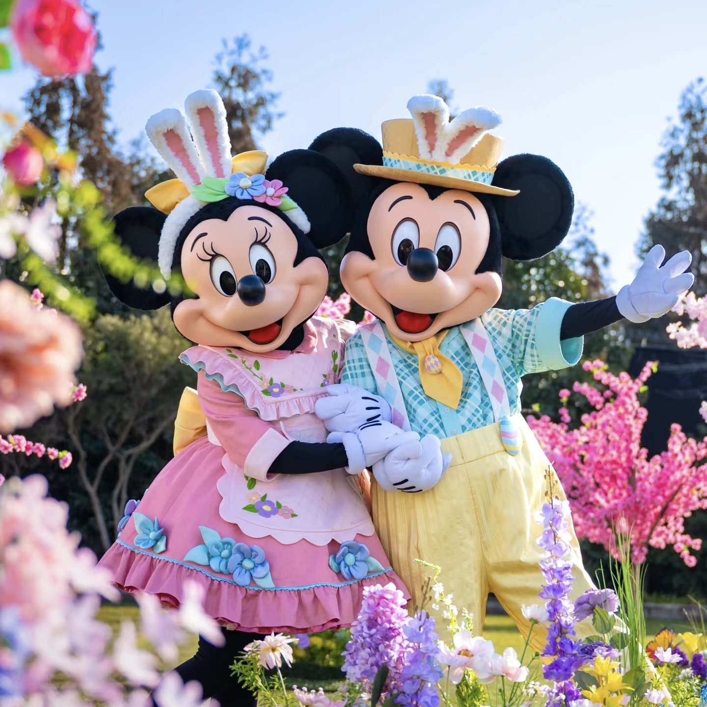 【私家团】上海迪士尼3天2晚|专车出行 - 定制游预订