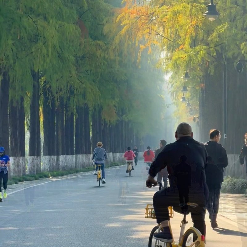 【2人】湖北襄阳中国唐城+米公祠+武汉森泊渡假乐园【水乐园或幻想岛】+轻奢酒店1晚