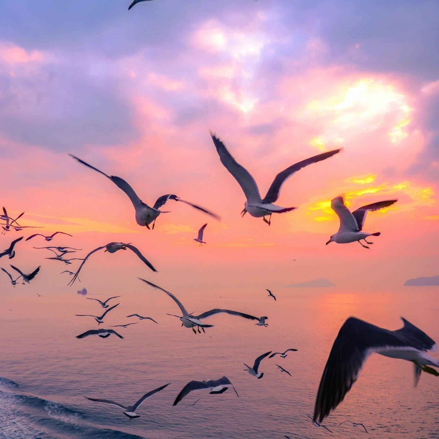 烟台蓬莱希尔顿欢朋酒店住宿+三仙山+蓬莱阁+八仙过海成人门票