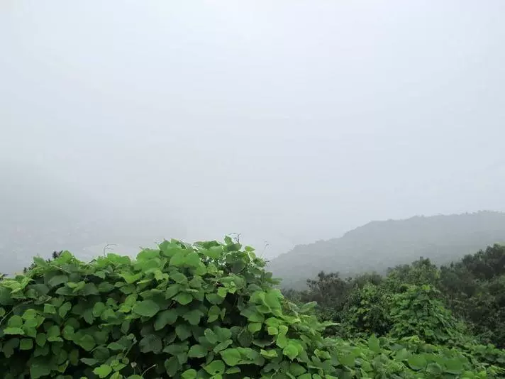 古道登山图片