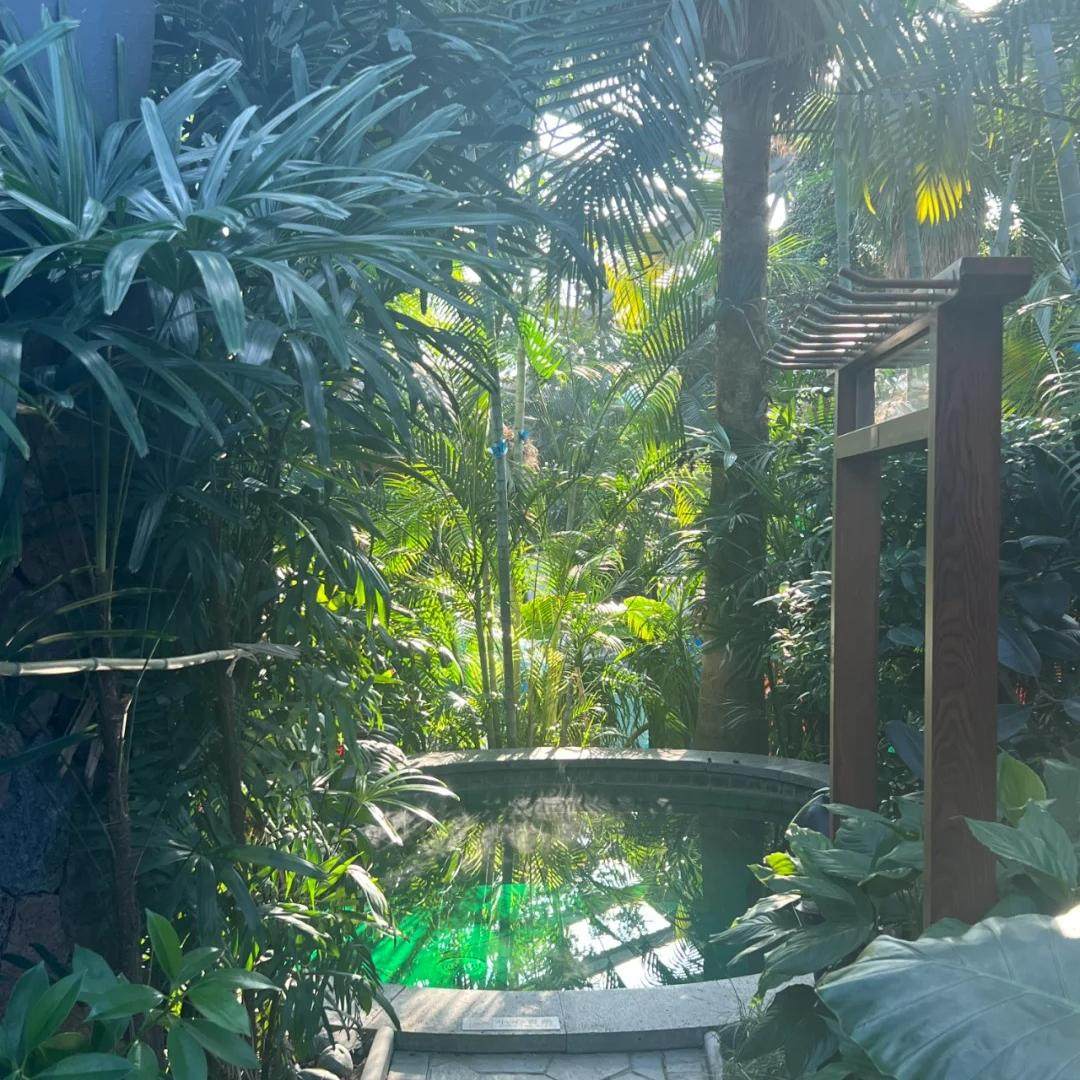 【买1送1】太湖喜来登1晚+莫干山天籁之梦1晚+双早+温泉+景区