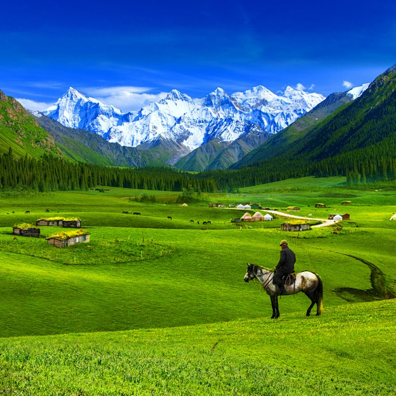 汽车出发内蒙古呼和浩特1日鄂尔多斯自由行 - 定制游预订