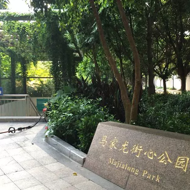 马家龙街心公园图片