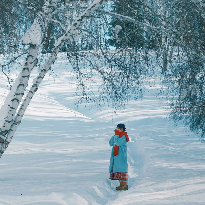 【大喀集禾】新疆旅游喀纳斯禾木白哈巴6人小团无购物5天4晚跟团 - 定制游预订