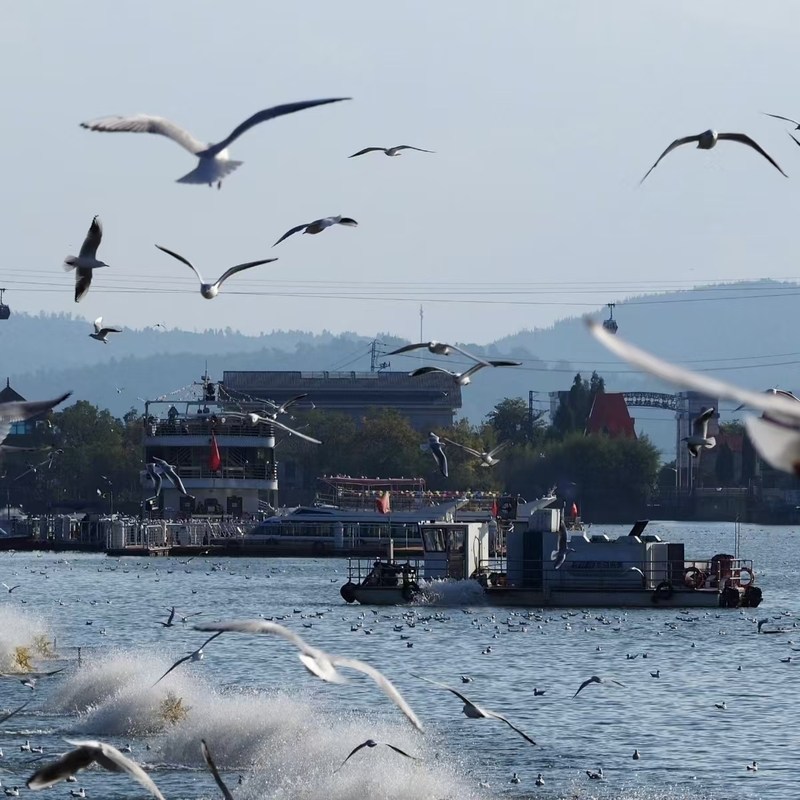 【云南旅游】昆明南站希尔顿欢朋酒店含自助早餐2天1晚套餐+七彩云南·欢乐世界门票