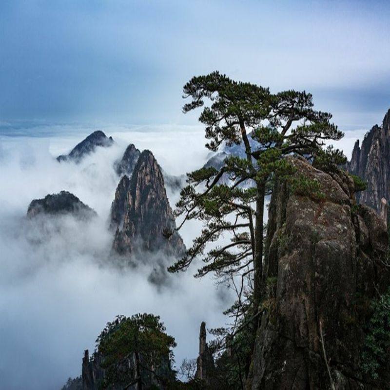 纯玩-安徽旅游大美黄山迎客松经典1日游含景交跟团1日游 酒店接送 - 定制游预订