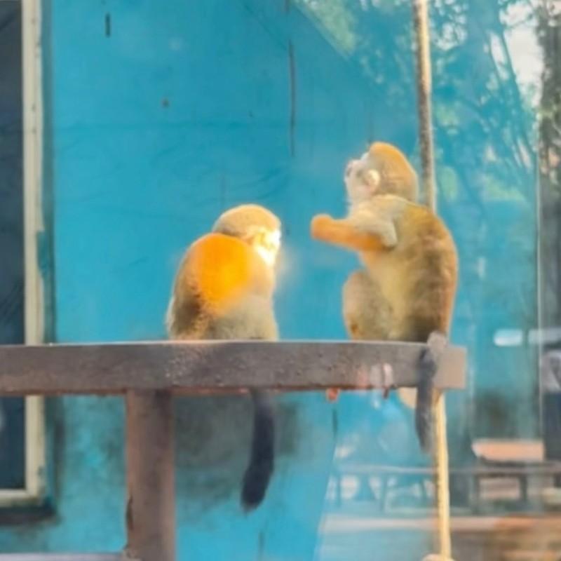 【乐享】秦皇岛黄金海岸龙华园海景酒店海景晨光阳光大床房三天两晚+野生动物园