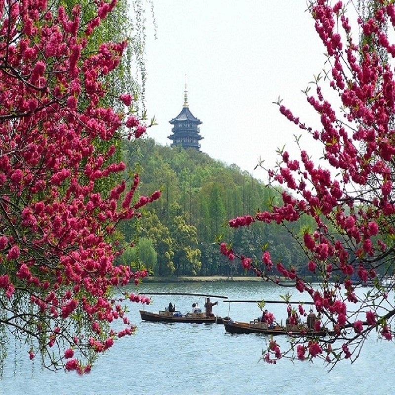 宁波绍兴高铁往返【纯玩】乌镇+杭州2天1晚跟团游 可升级酒店 - 定制游预订