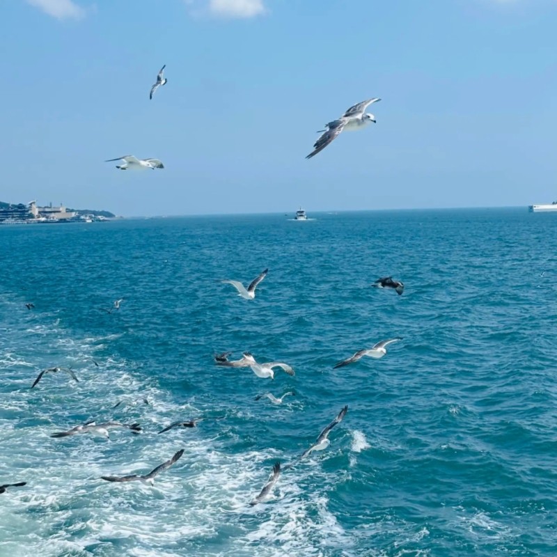 【威海自由行】香海豪生/城投北辰//铂丽斯/信泰国际酒店/九紫黄龙/龙源海怡