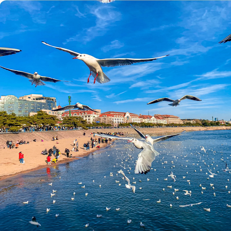 三亚 自由行 自驾游 含酒店住宿 蜈支洲岛 + 景点 - 定制游预订