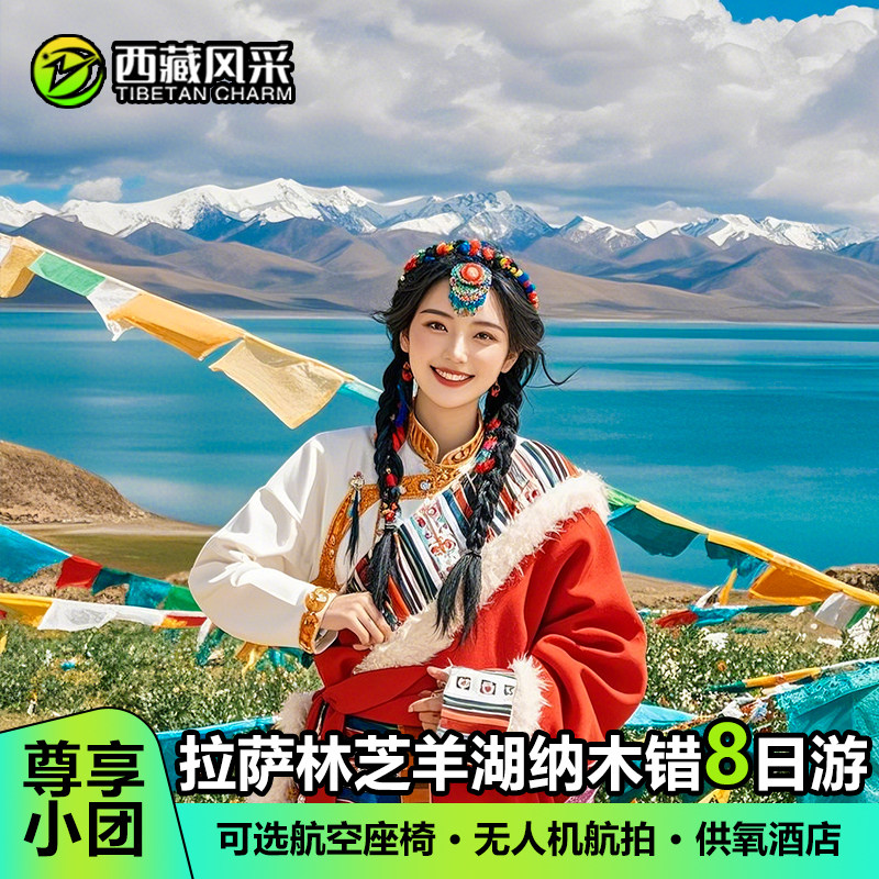 【冬游免门票】西藏旅游8天7晚可选10人团拉萨林芝羊湖纳木错跟团 - 定制游预订