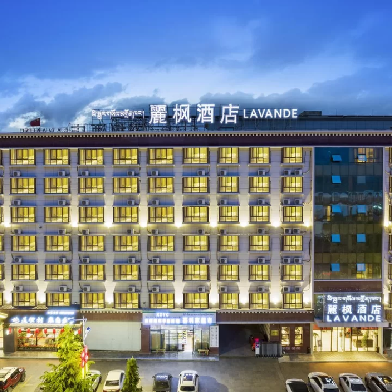 D1天1晚西藏拉萨市麗枫酒店拉萨火车站店自由行+扎基寺门票单人酒景套餐 - 定制游预订