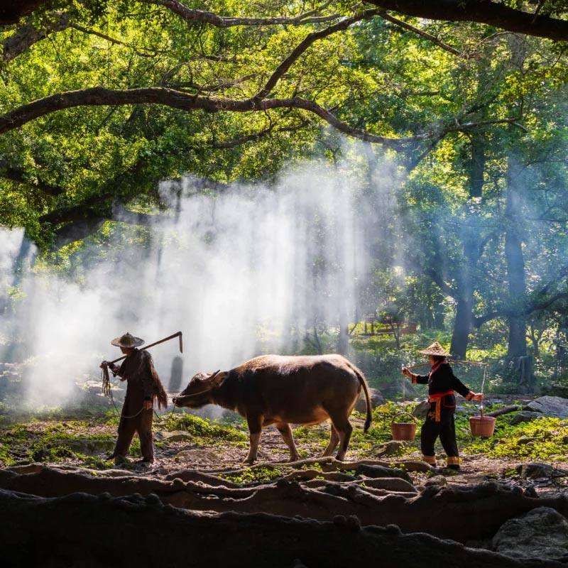 12人福建宁德霞浦杨家溪+花竹村+小皓滩涂+留云禅寺+光影东壁日落 - 定制游预订