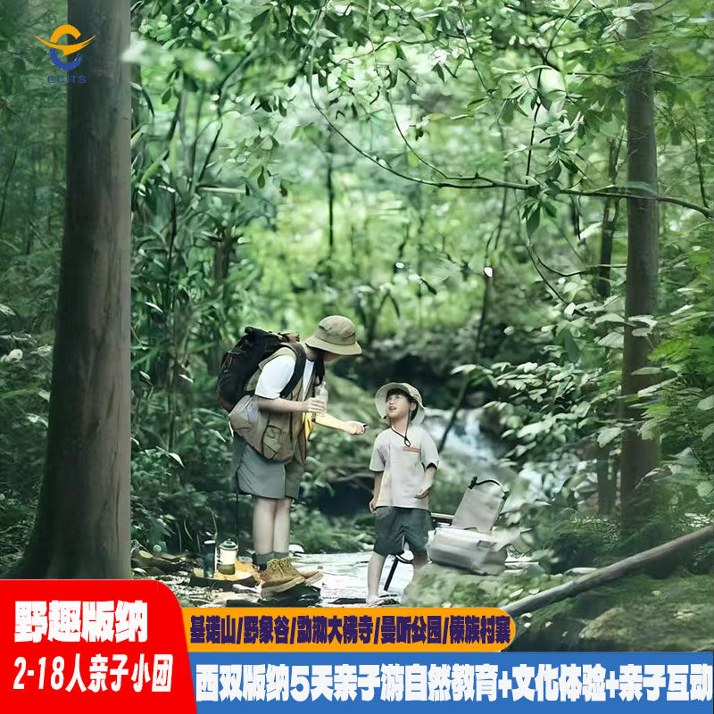 直达西双版纳5天2-18 人亲子小团徒步雨林自然教育文化体验亲子游 - 定制游预订