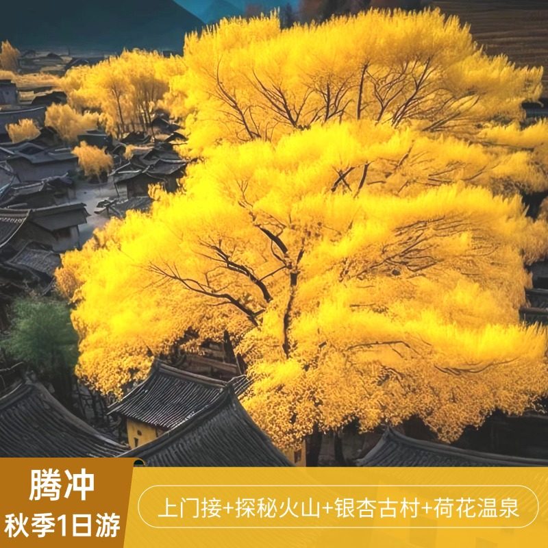 腾冲秋季一日游纯玩私家团 火山地质公园/银杏村/荷花温泉 省心游 - 定制游预订