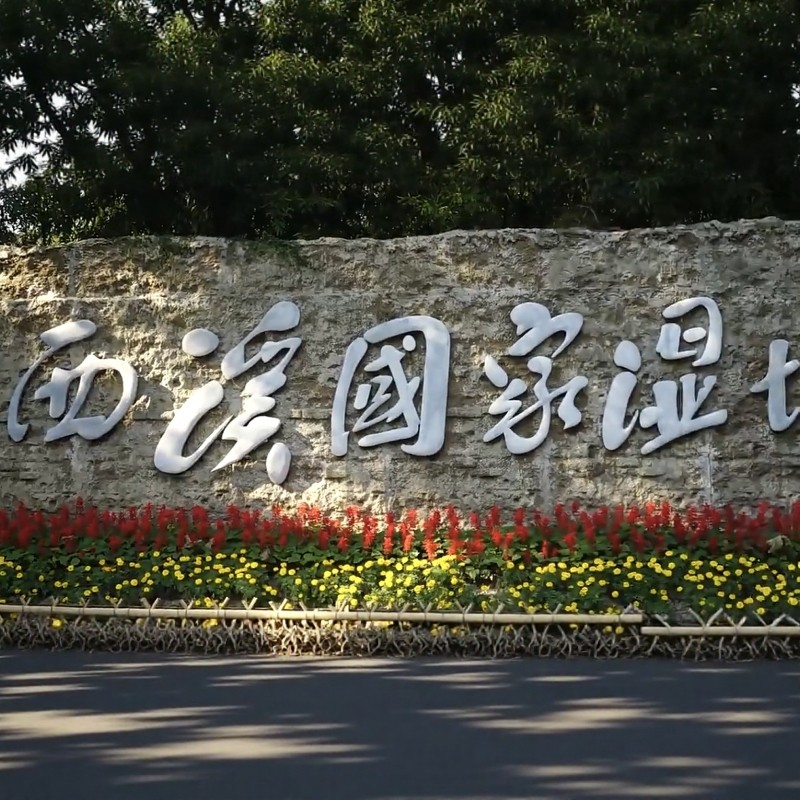 【周末奢旅不加反降】杭州6天自由行住万豪公寓50平起奢宿+近地铁近阿里+赠西溪湿地