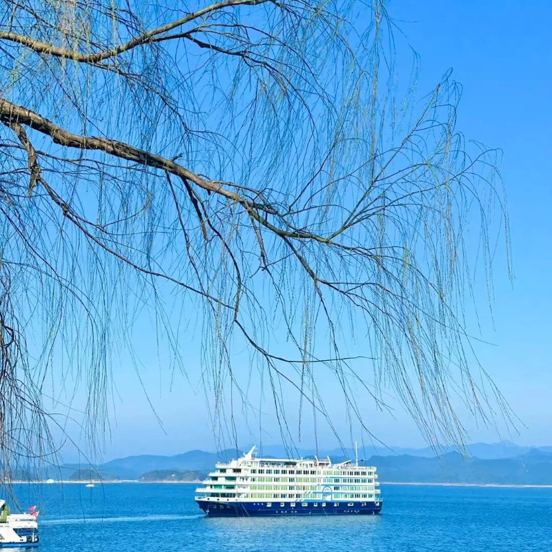 浙江千岛湖一地4日私家团+包车环湖漫游+坐船上岛+住高分4钻酒店 - 定制游预订