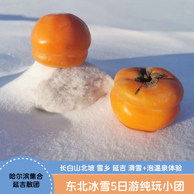 【哈尔滨起延吉散】东北5天亚雪公路雪乡冰雪画廊长白山北坡温泉 - 定制游预订