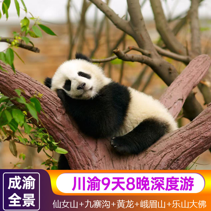 9天8晚成渝跟团重庆仙女山天生三桥成都九寨沟黄龙峨眉山乐山大佛 - 定制游预订