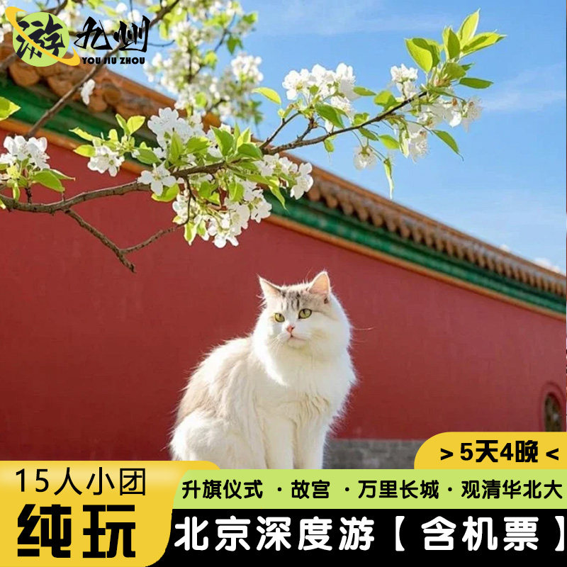 15人纯玩小团 |北京旅游5天故宫升旗仪式万里长城前门大街3钻酒店 - 定制游预订